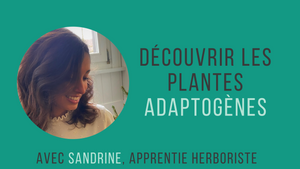 Plantes adaptogènes : quels sont leurs bienfaits et comment les utiliser? 