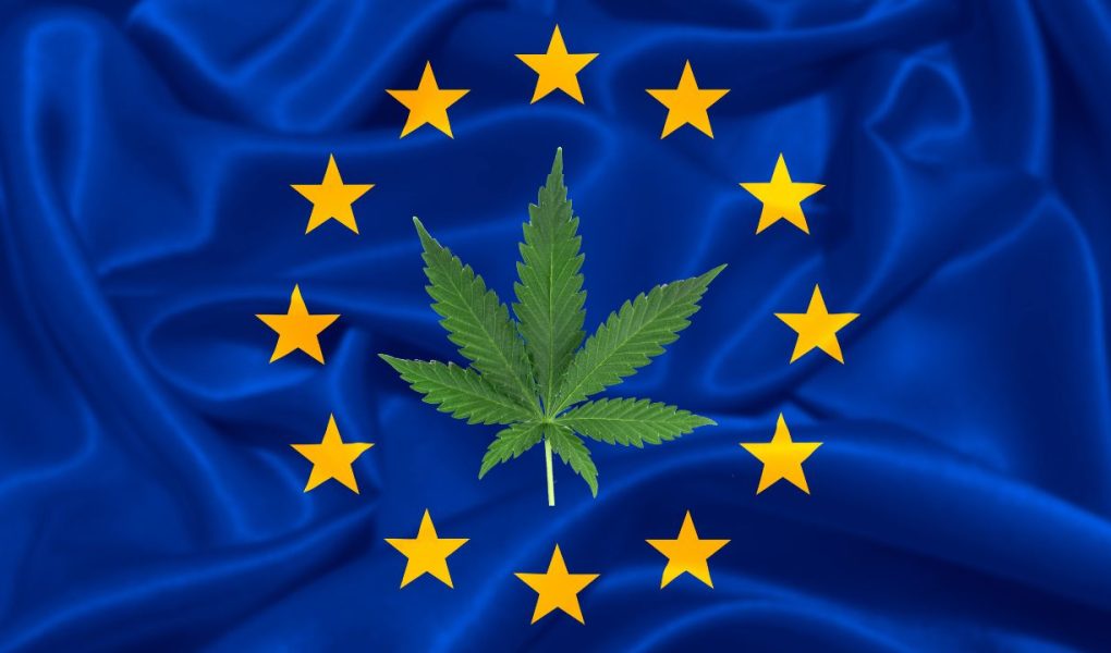 CBD : l’Europe annonce une dose maximale