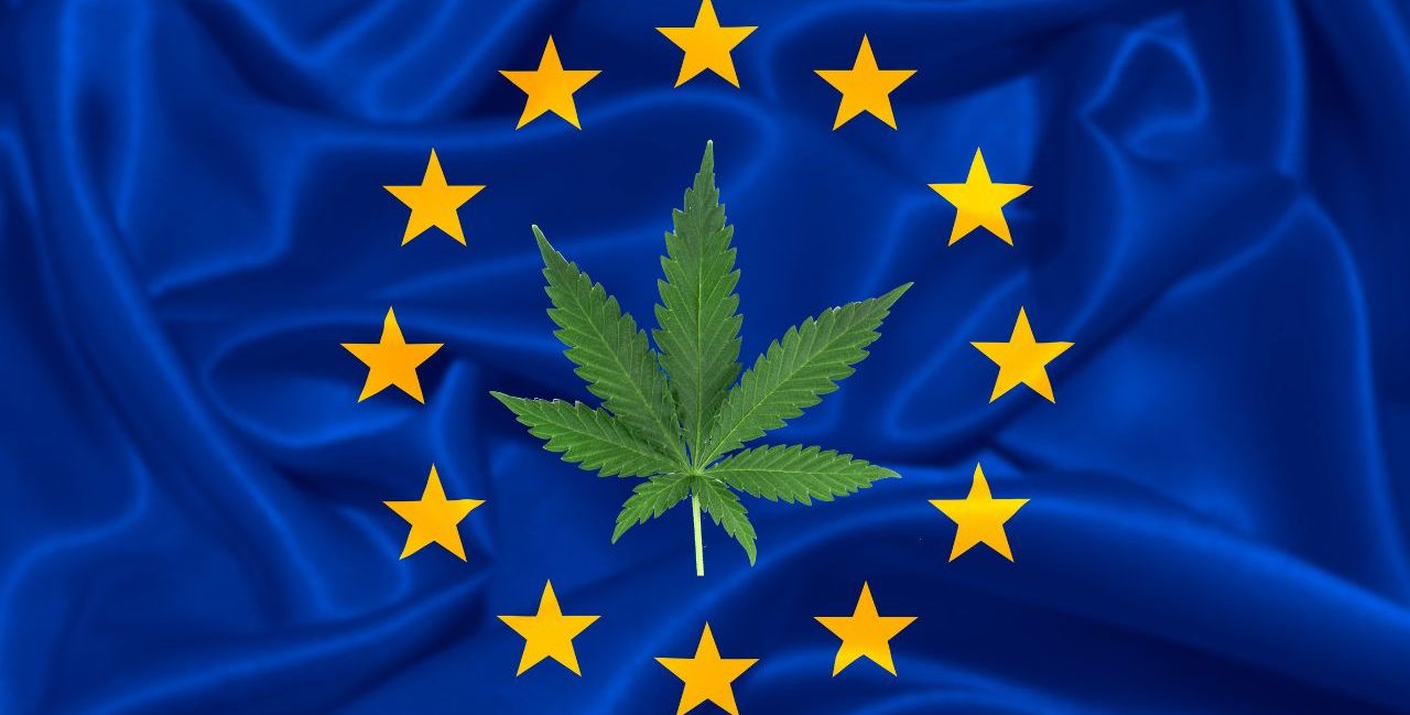 CBD : l’Europe annonce une dose maximale