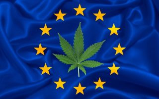 CBD : l’Europe annonce une dose maximale