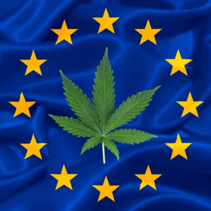 CBD : l’Europe annonce une dose maximale